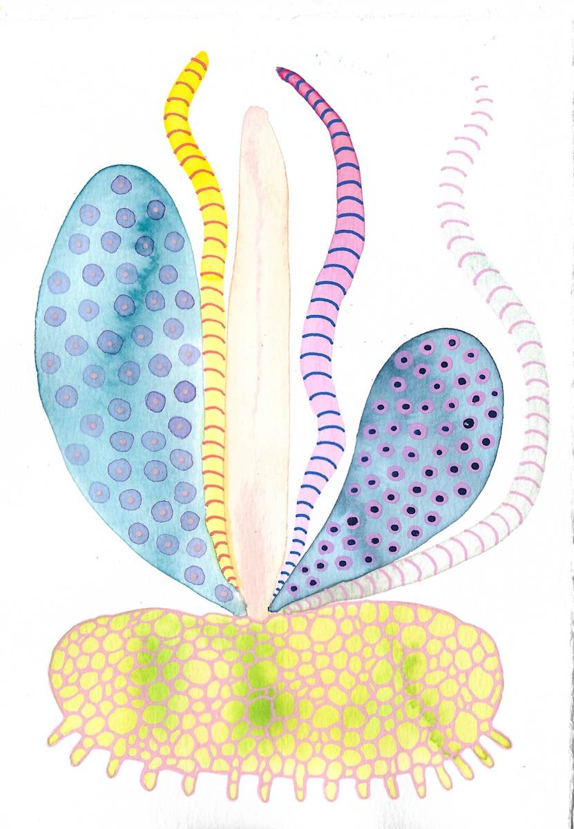 Weird Plant by kelly mccallum 