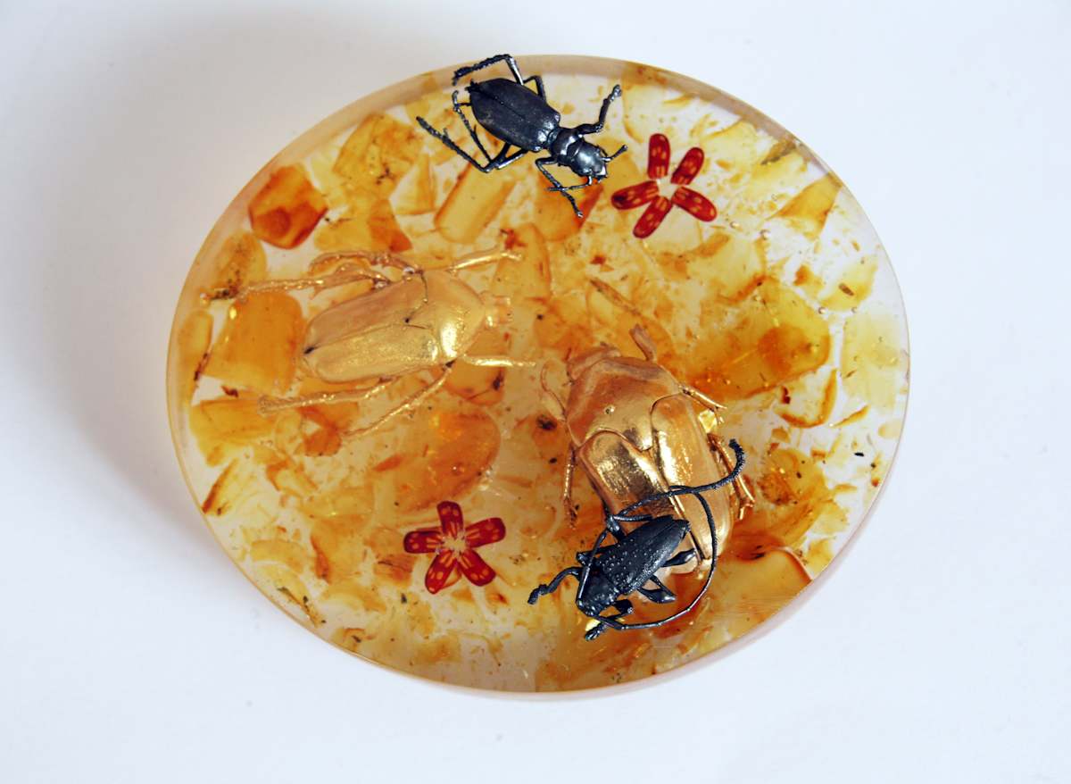 Amber Resin brooches by kelly mccallum 