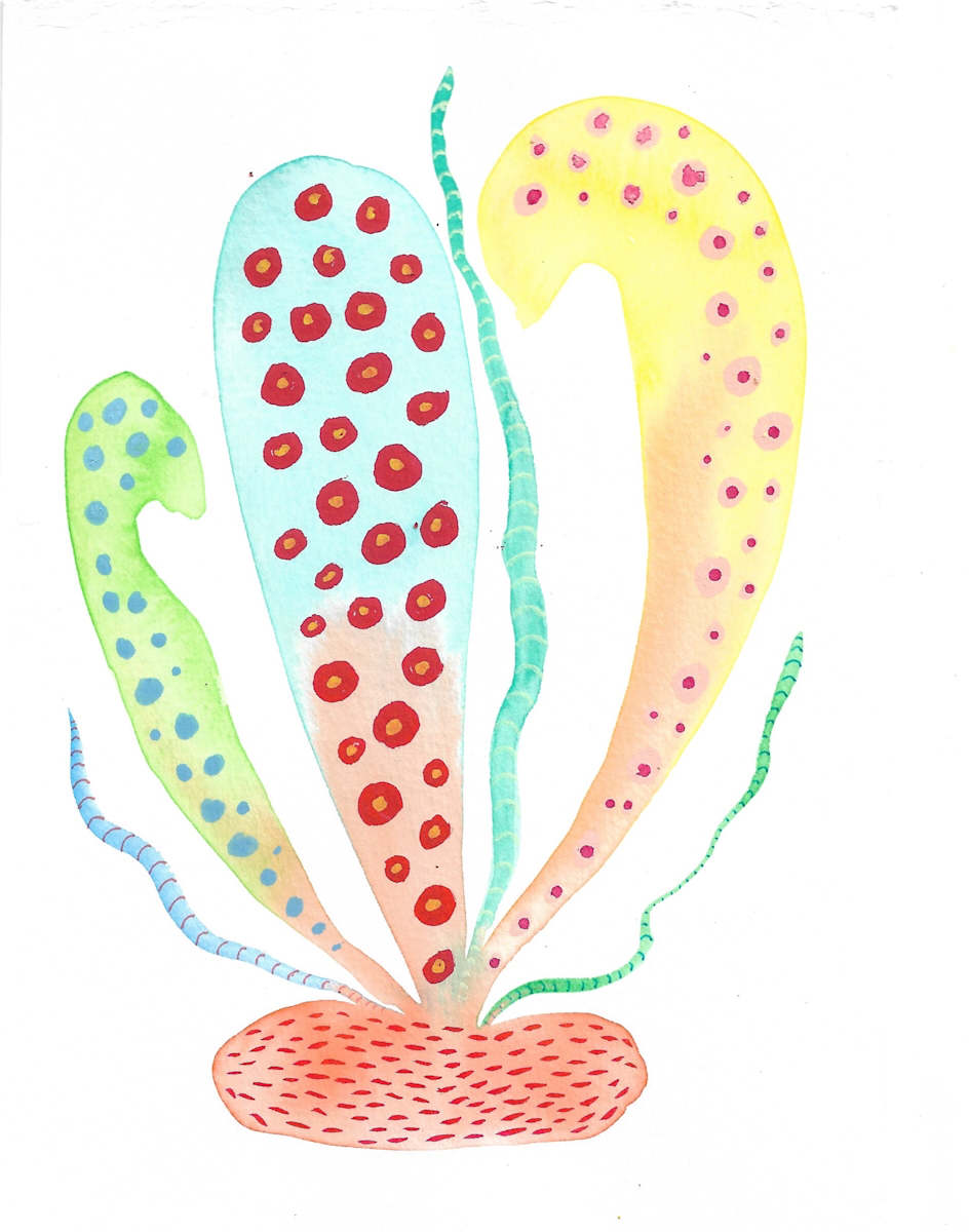 Weird Plant by kelly mccallum 