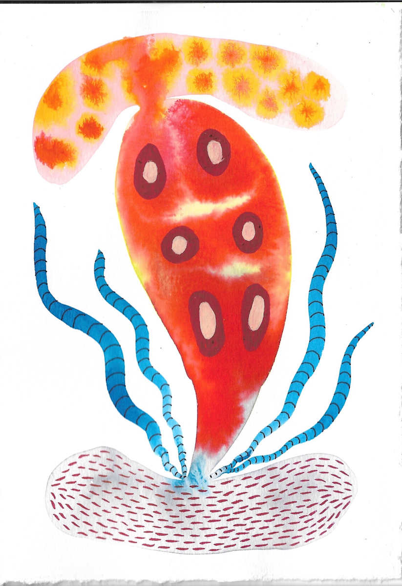 Seed Pod by kelly mccallum 