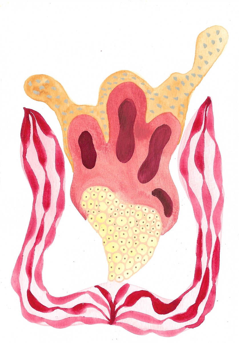 Seed Pod by kelly mccallum 