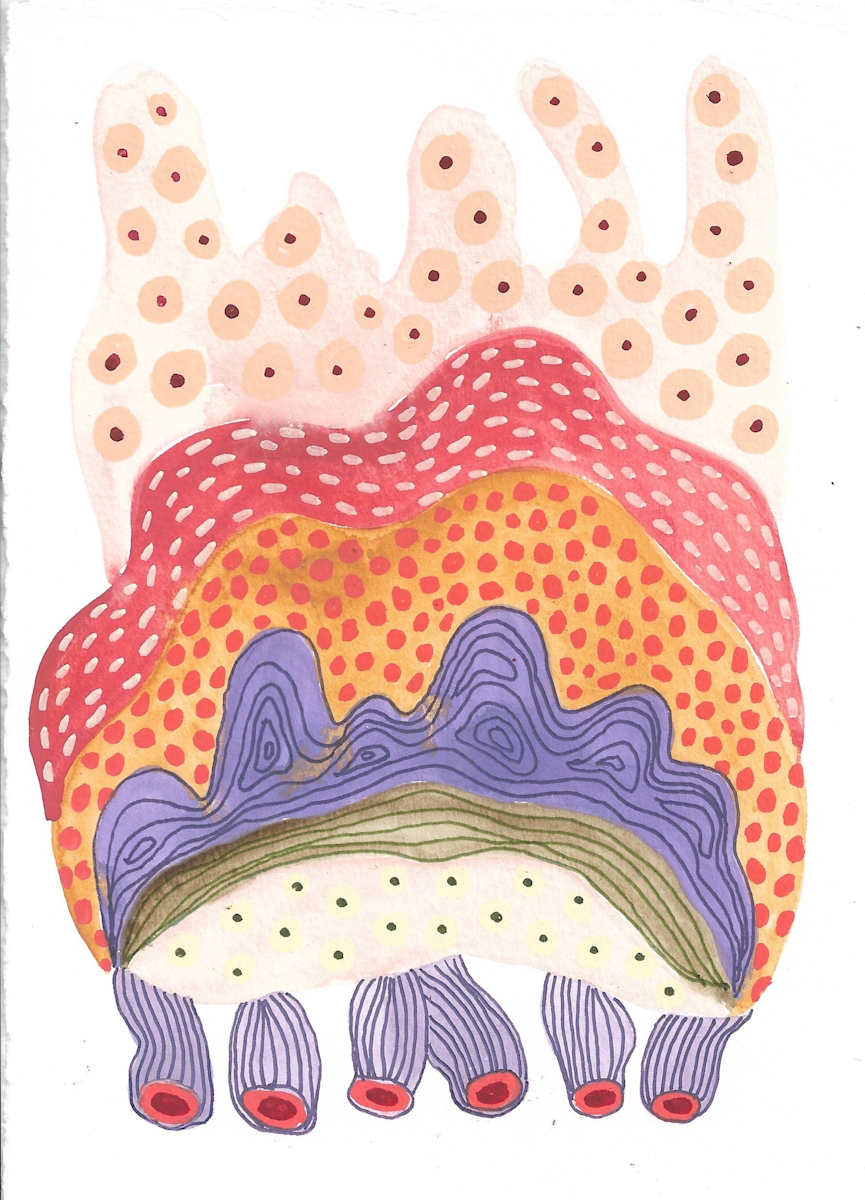 Seed Pod by kelly mccallum 