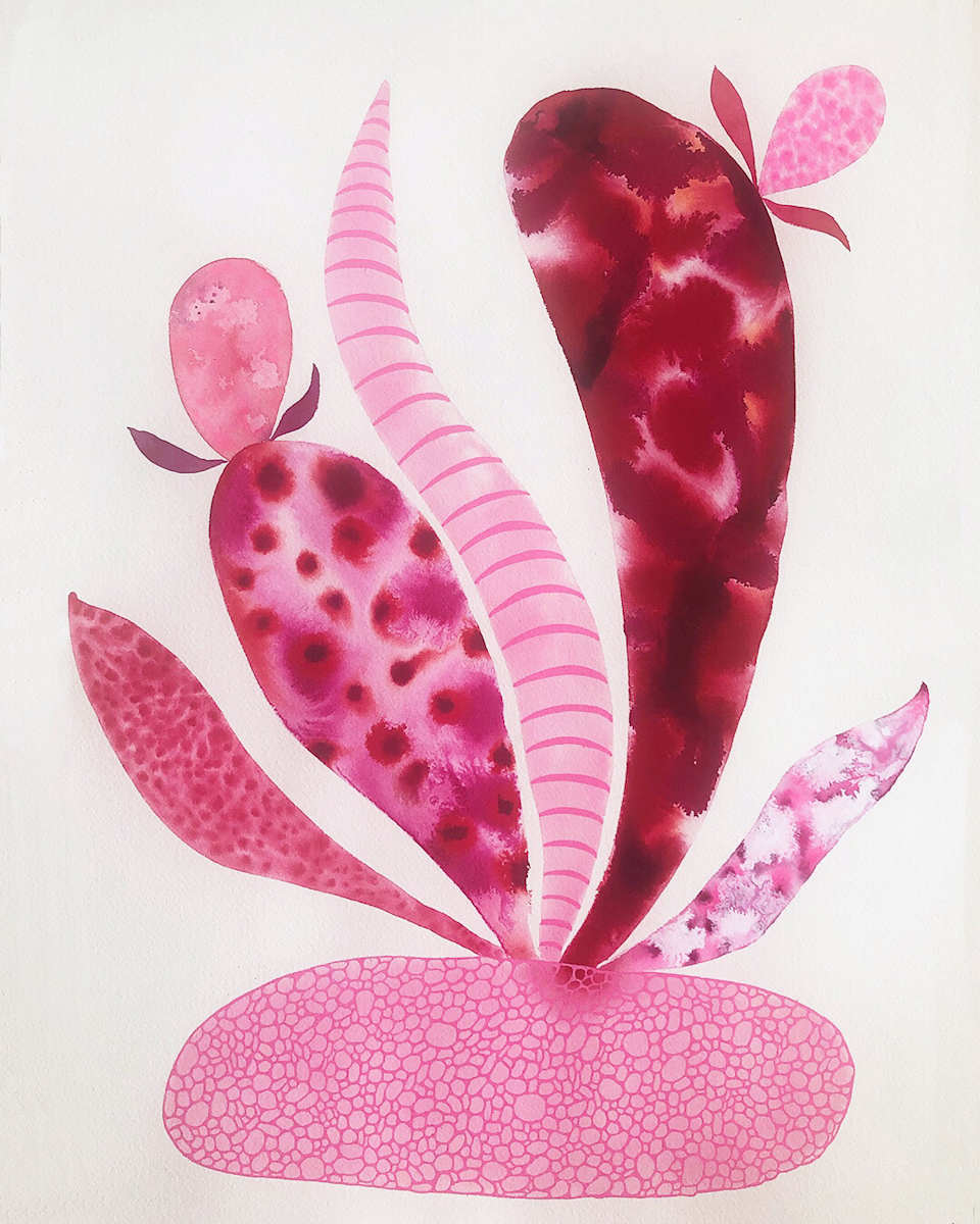 Weird Plant by kelly mccallum 