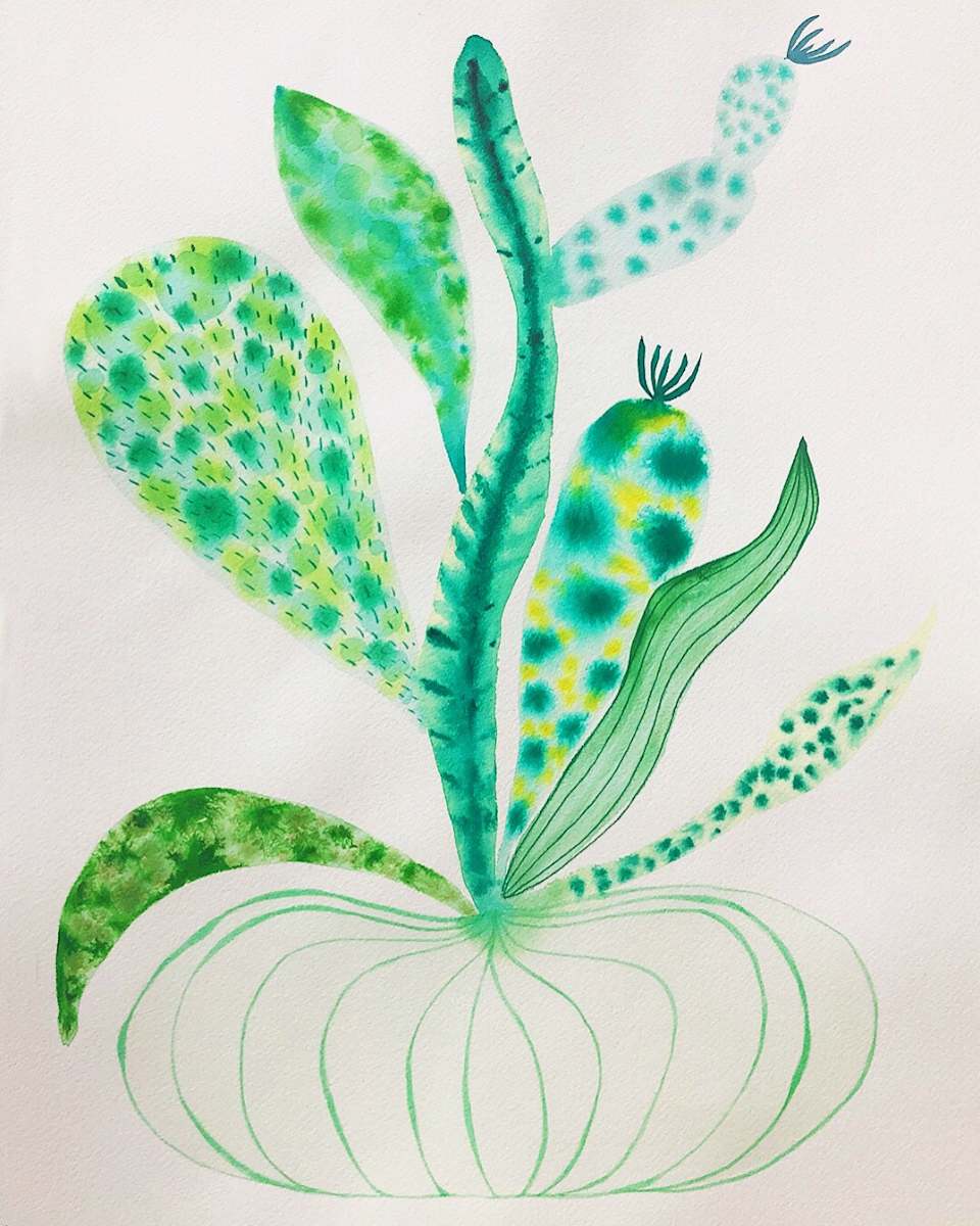 Weird Plant by kelly mccallum 
