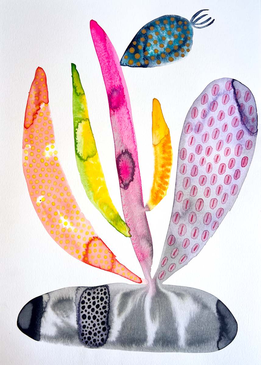 Weird Plant by kelly mccallum 