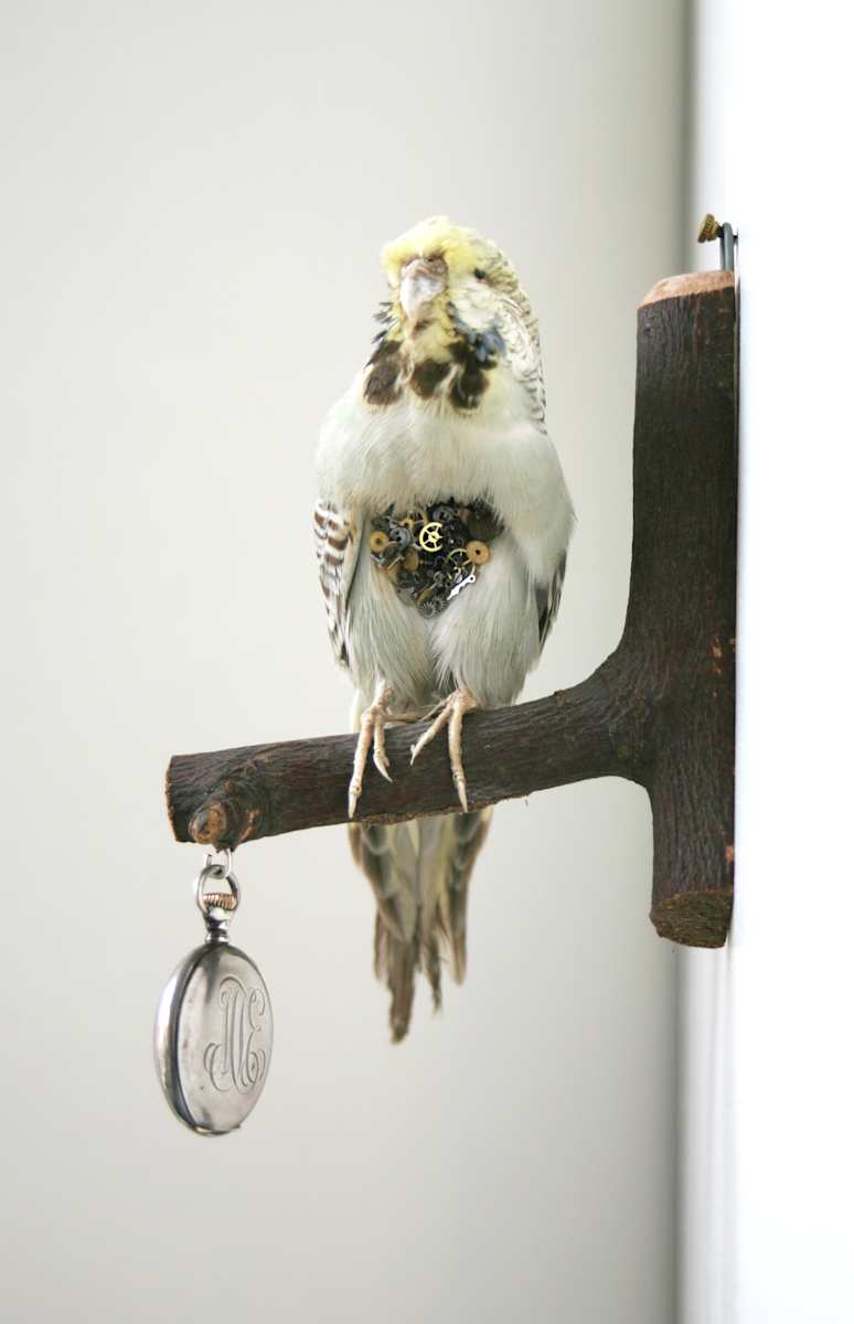 Untitled by kelly mccallum 
