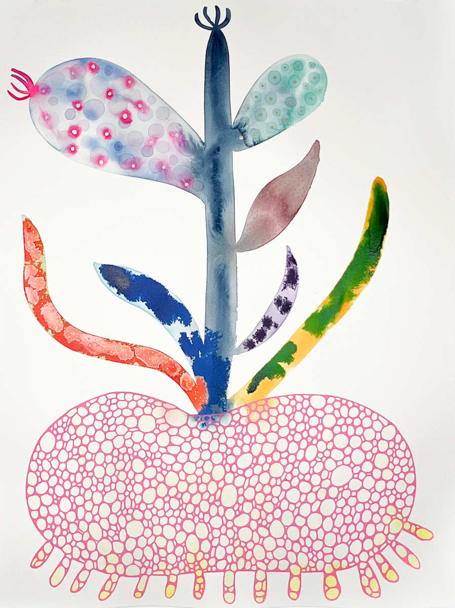 Weird Plant by kelly mccallum 