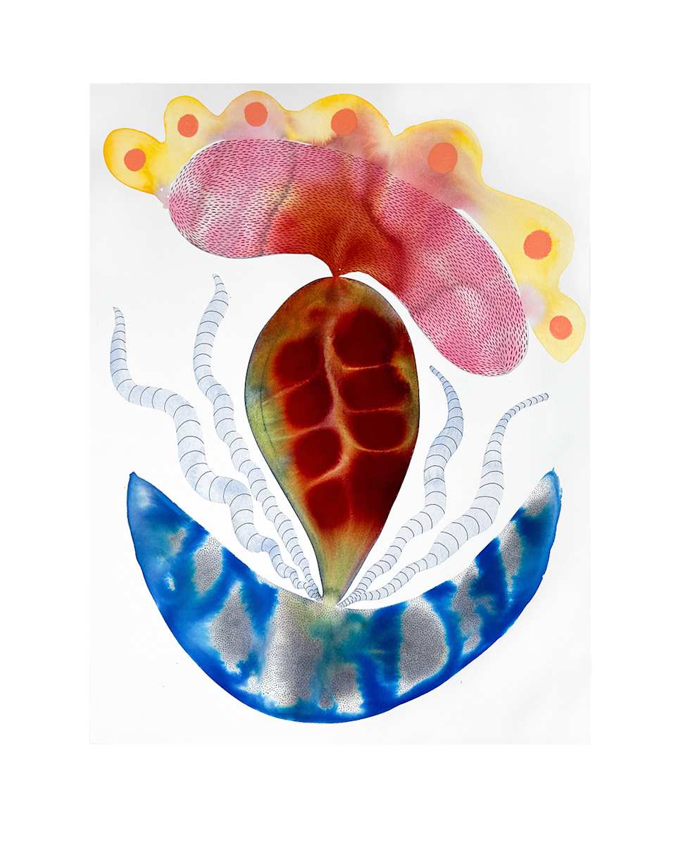 Seed Pod by kelly mccallum 