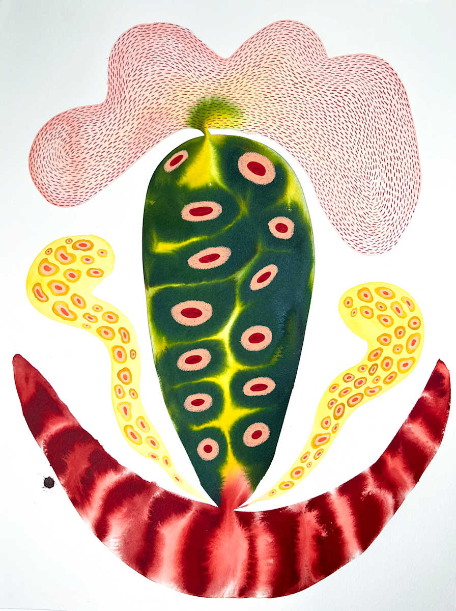 Seed Pod by kelly mccallum 