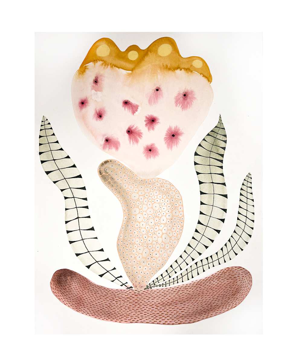Seed Pod by kelly mccallum 