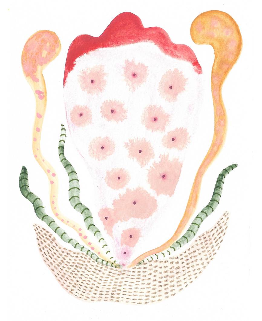 Seed Pod by kelly mccallum 