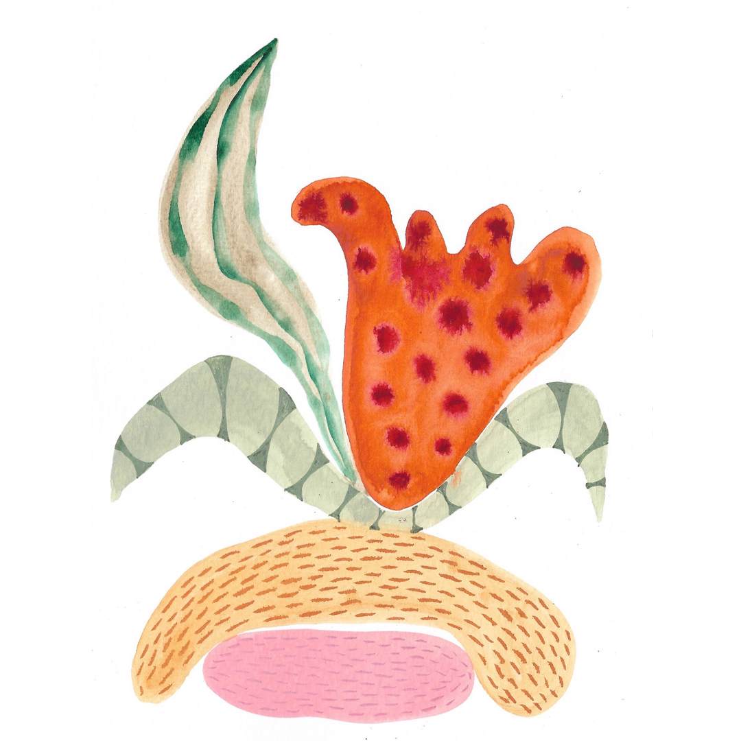 Seed Pod by kelly mccallum 