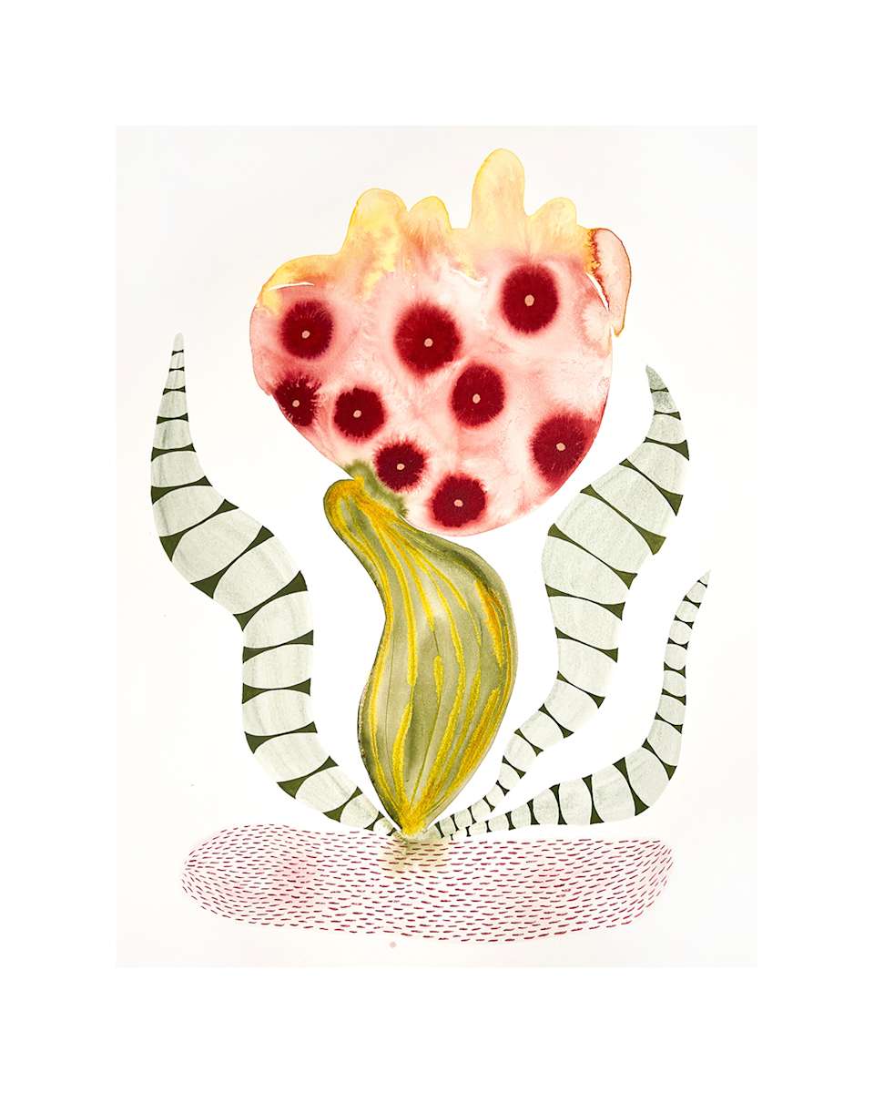 Seed Pod by kelly mccallum 