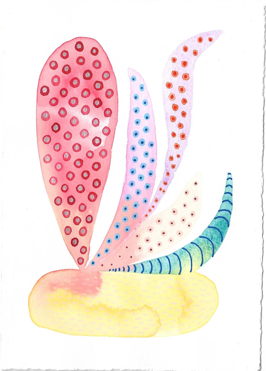 Weird Plant by kelly mccallum 