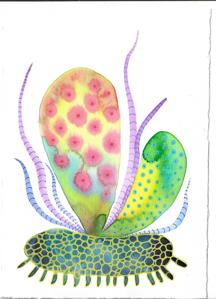 Weird Plants by kelly mccallum 