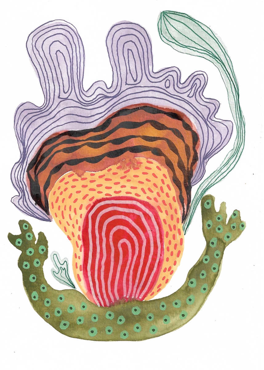 Seed Pod by kelly mccallum 
