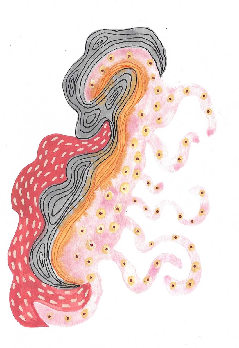 Seed Pod by kelly mccallum 