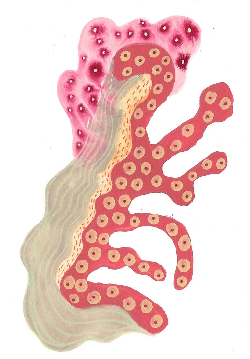 Seed Pod by kelly mccallum 