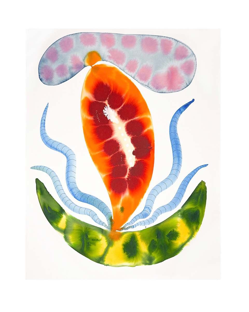 Seed pod by kelly mccallum 