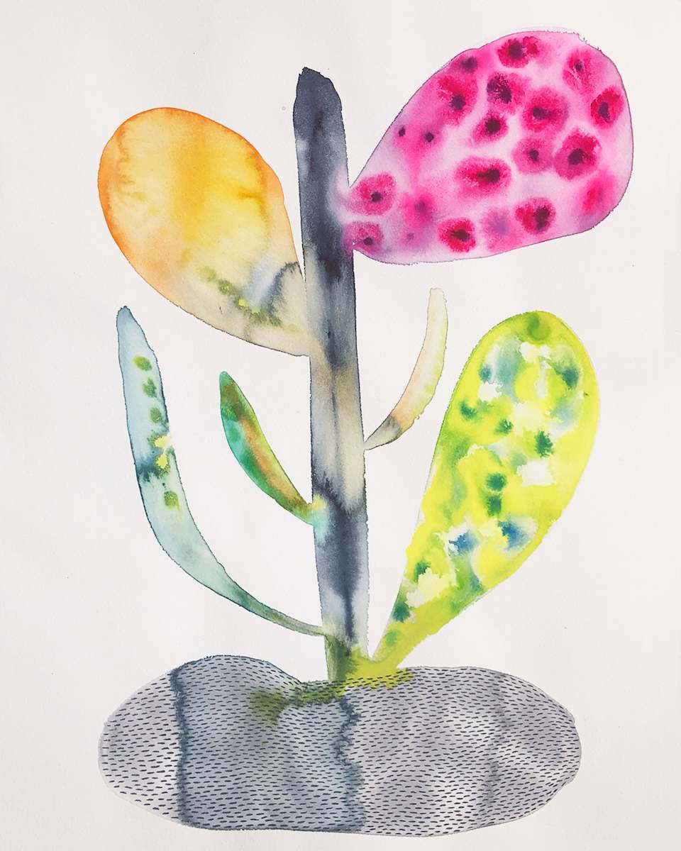 Weird Plant by kelly mccallum 