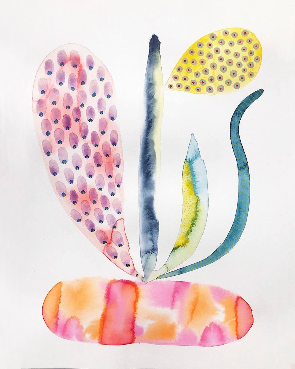 Weird Plant by kelly mccallum 