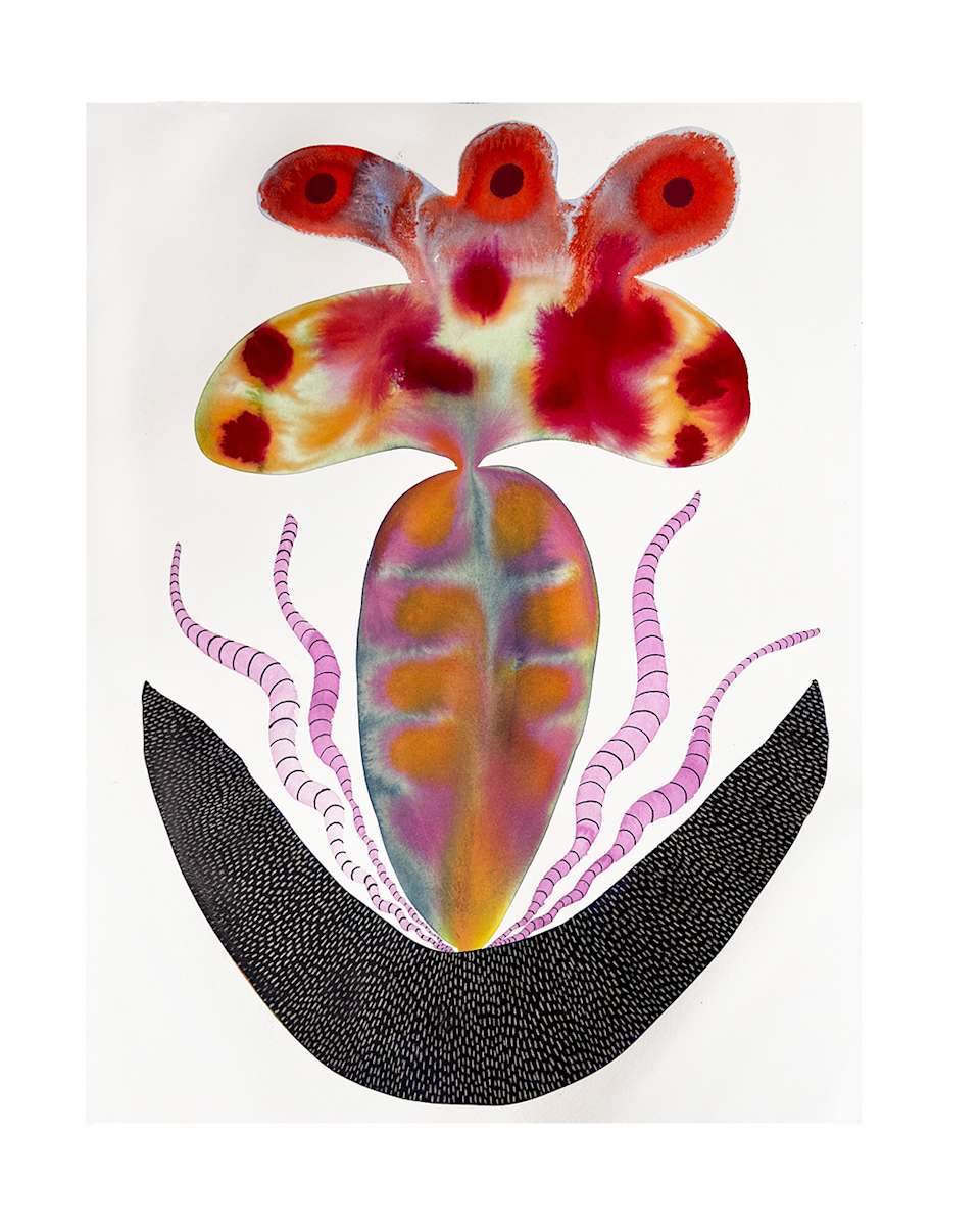 Seed Pod by kelly mccallum 
