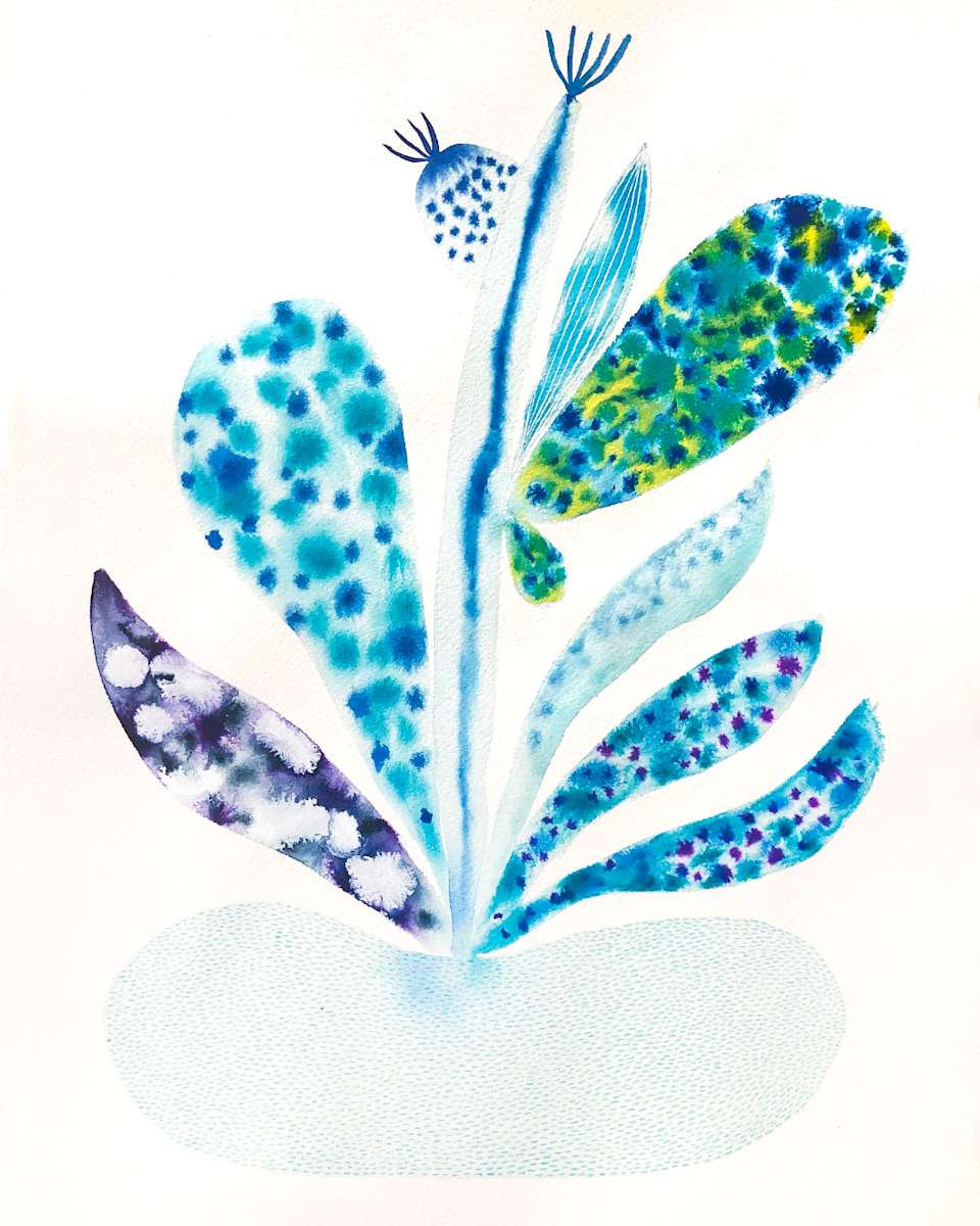 Weird Plant by kelly mccallum 