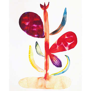 Weird Plant by kelly mccallum 