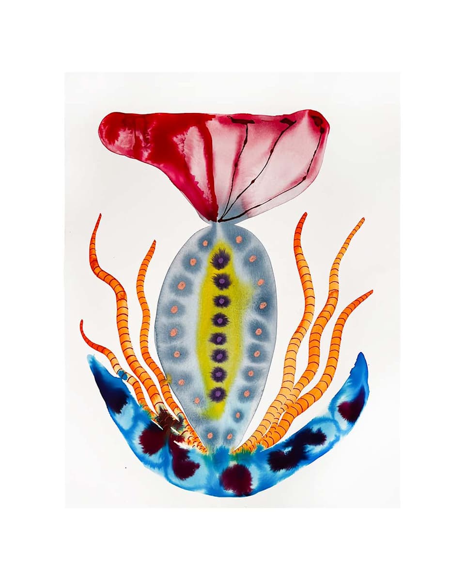 Seed Pod by kelly mccallum 
