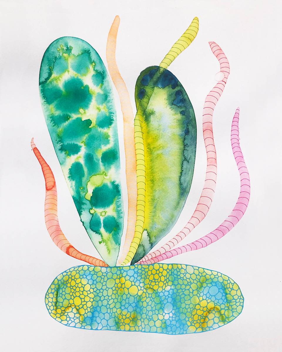 Weird Plant by kelly mccallum 
