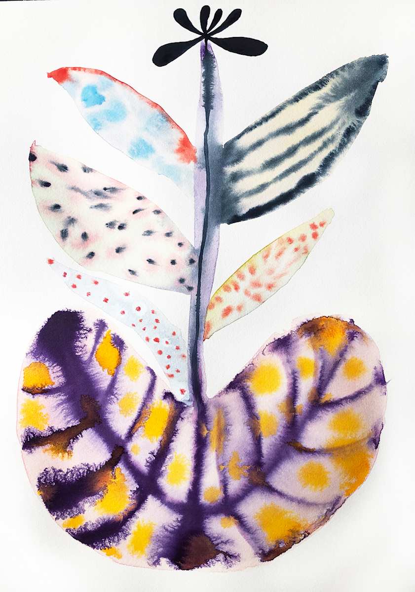 Weird Plant by kelly mccallum 