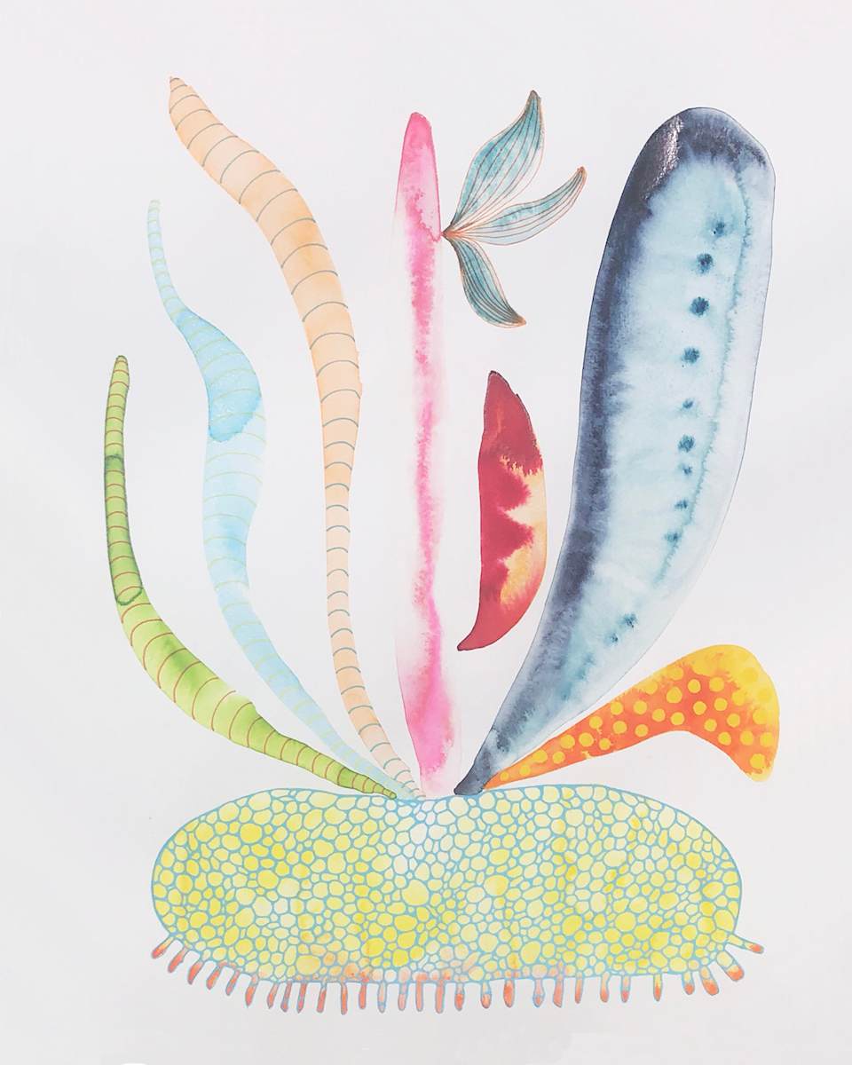 Weird Plant by kelly mccallum 