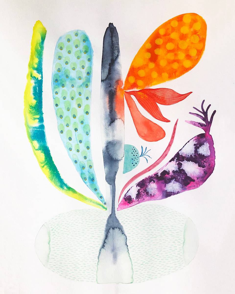 Weird Plant by kelly mccallum 
