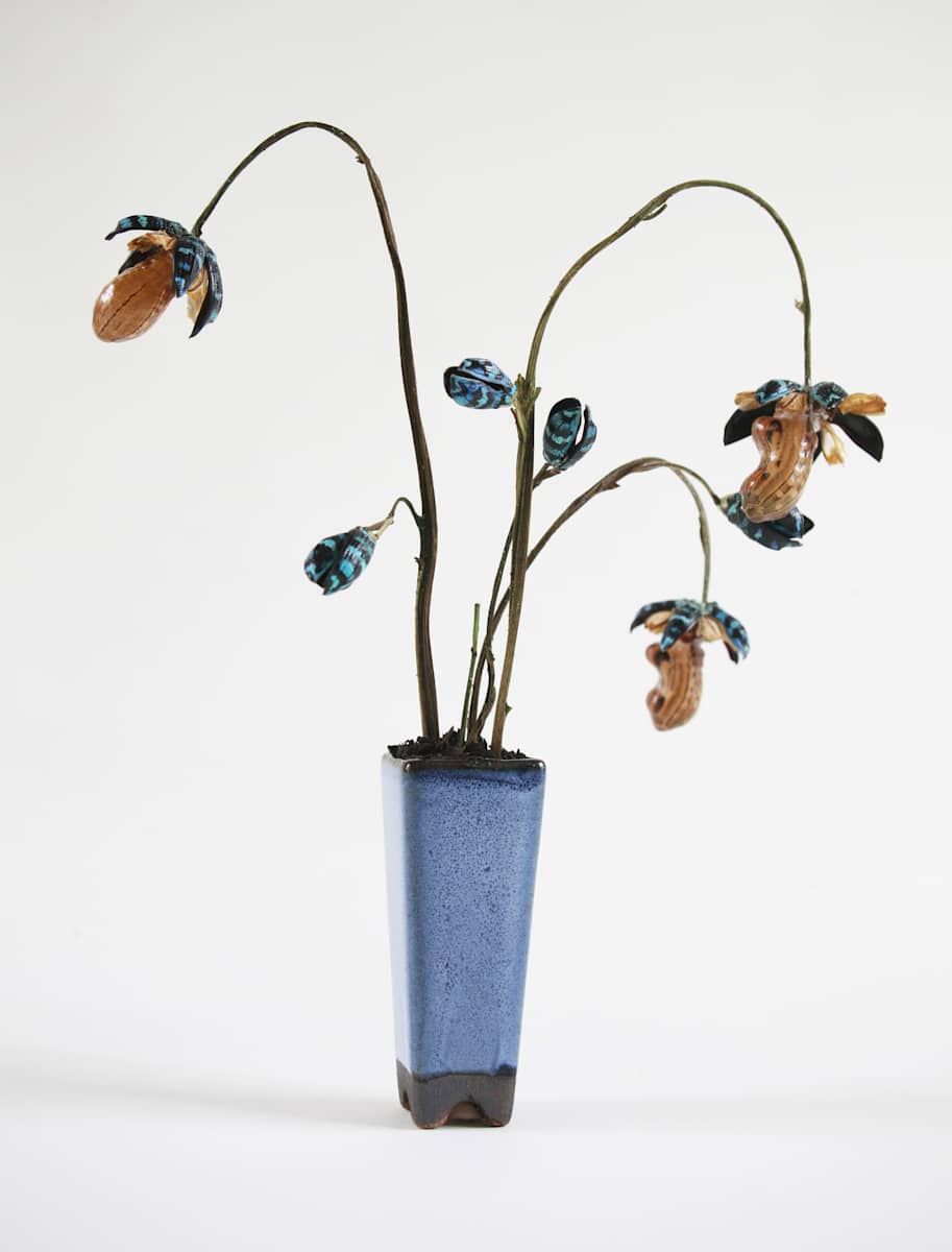 insect flowers by kelly mccallum 