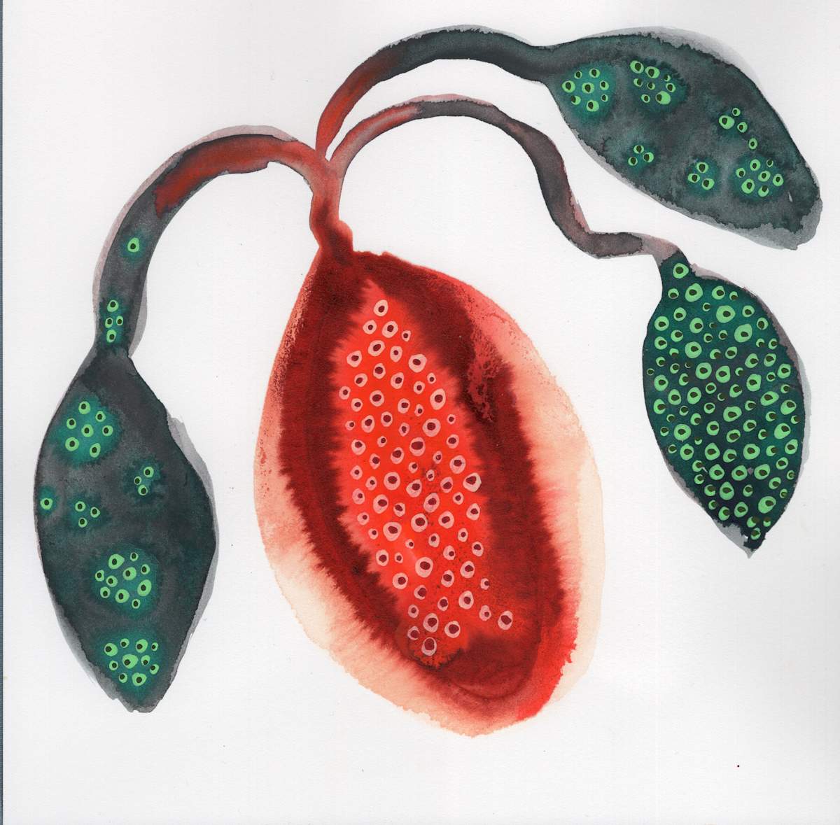 Low Hanging Fruit by kelly mccallum 