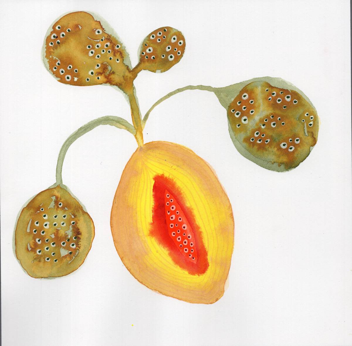 Low Hanging Fruit by kelly mccallum 