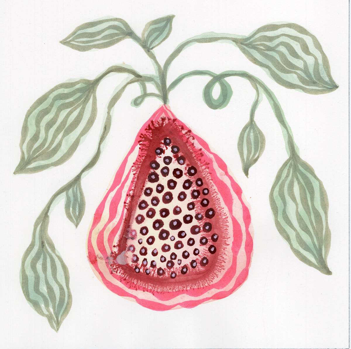 Low Hanging Fruit by kelly mccallum 