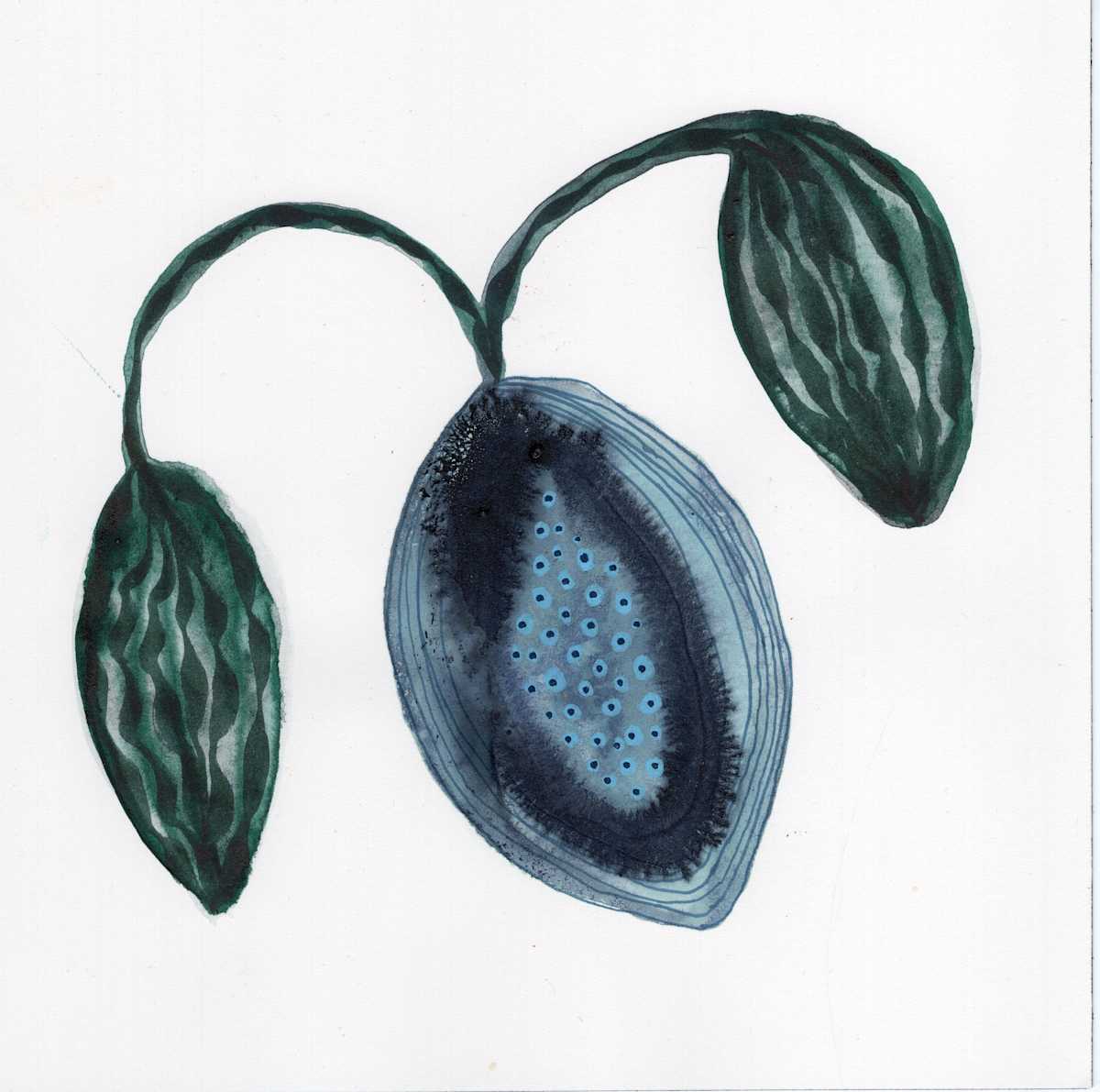 Low Hanging Fruit by kelly mccallum 