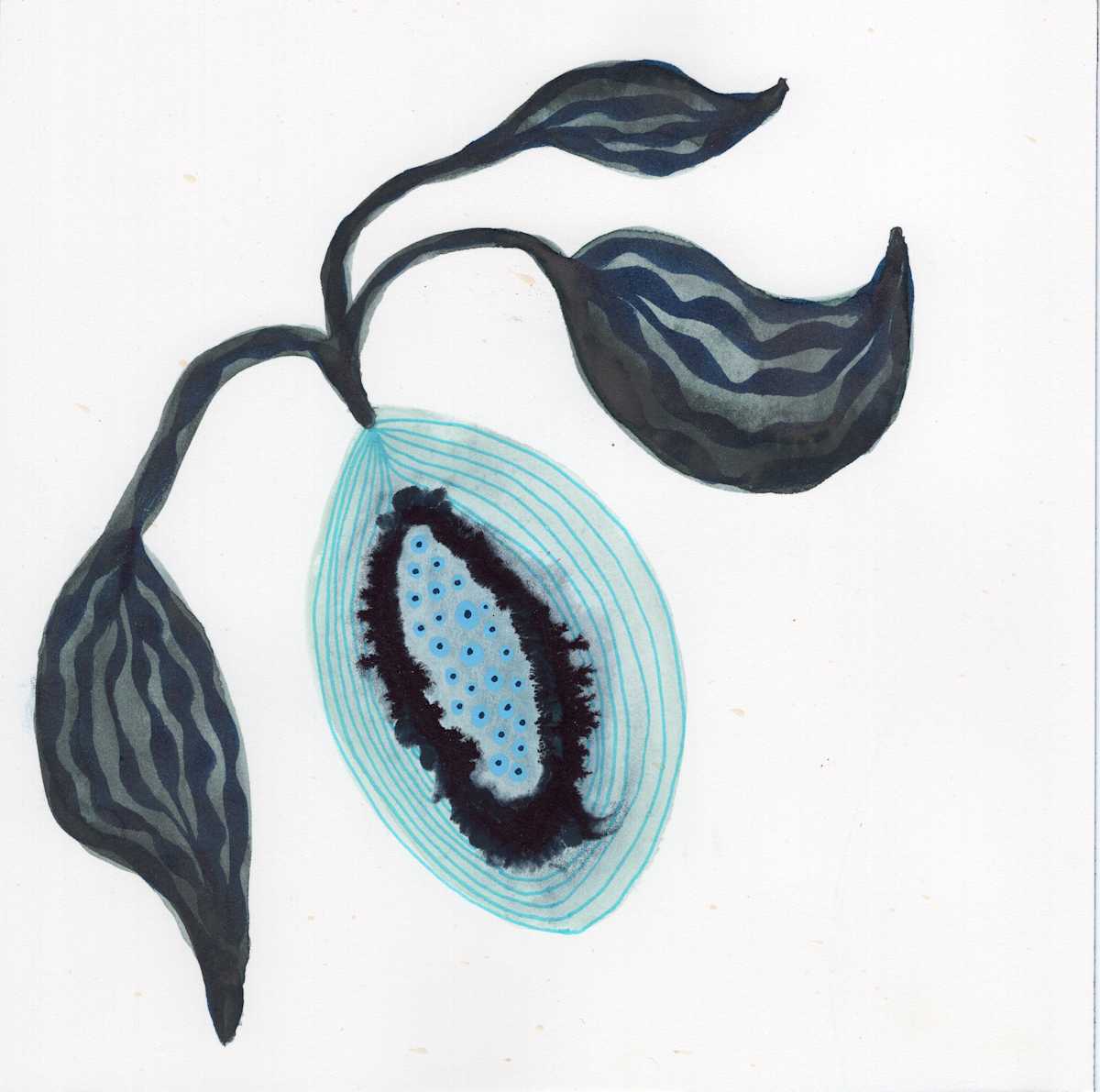 Low Hanging Fruit by kelly mccallum 