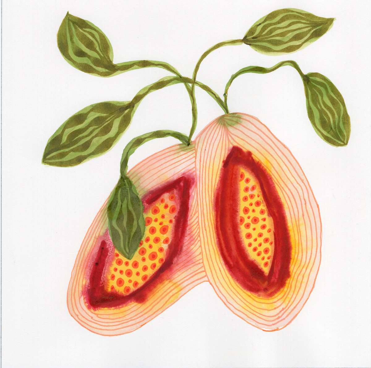 Low Hanging Fruit by kelly mccallum 
