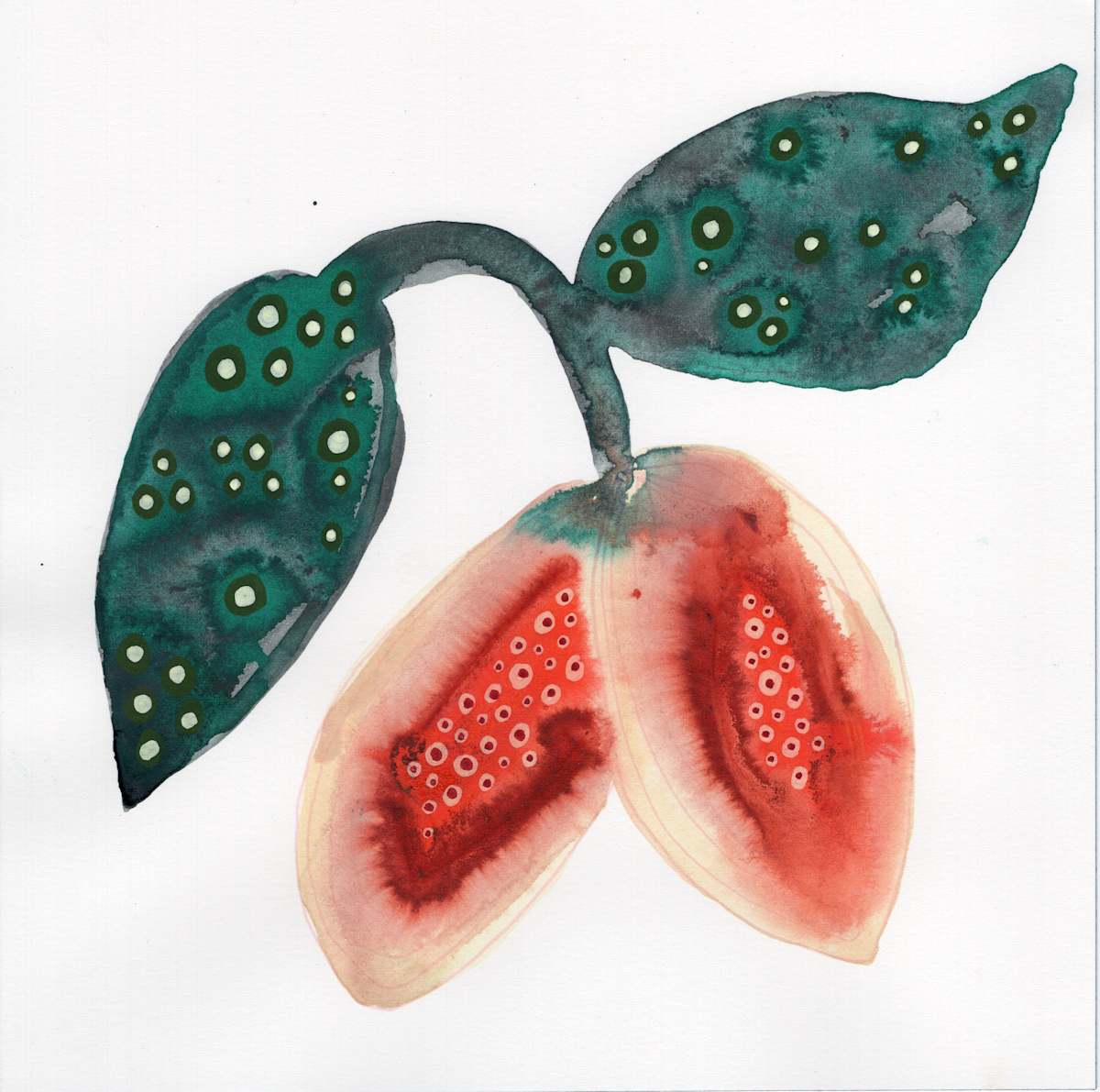 Low Hanging Fruit by kelly mccallum 