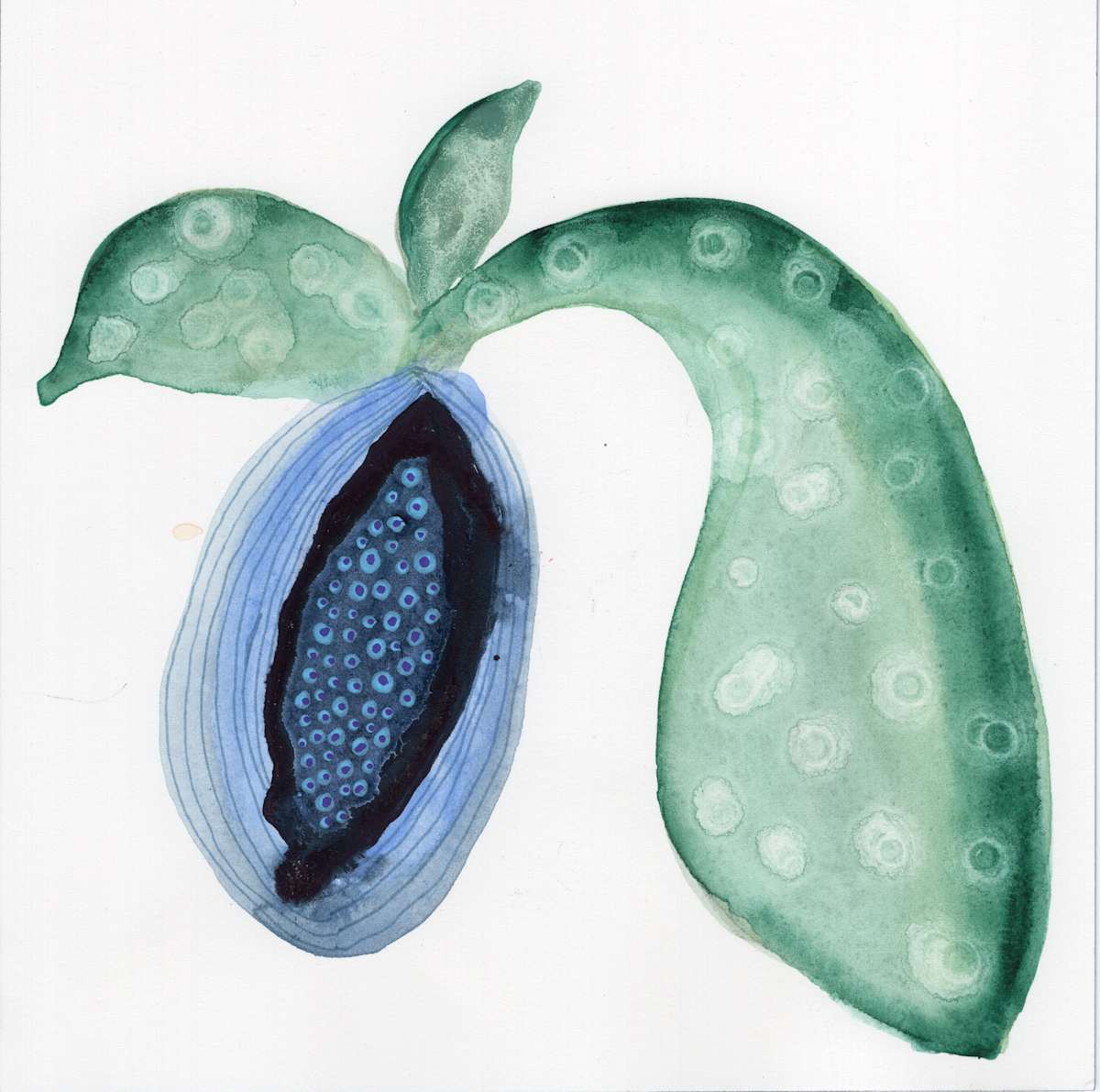 Low Hanging Fruit by kelly mccallum 