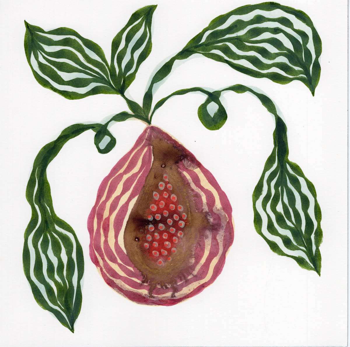 Low Hanging Fruit by kelly mccallum 