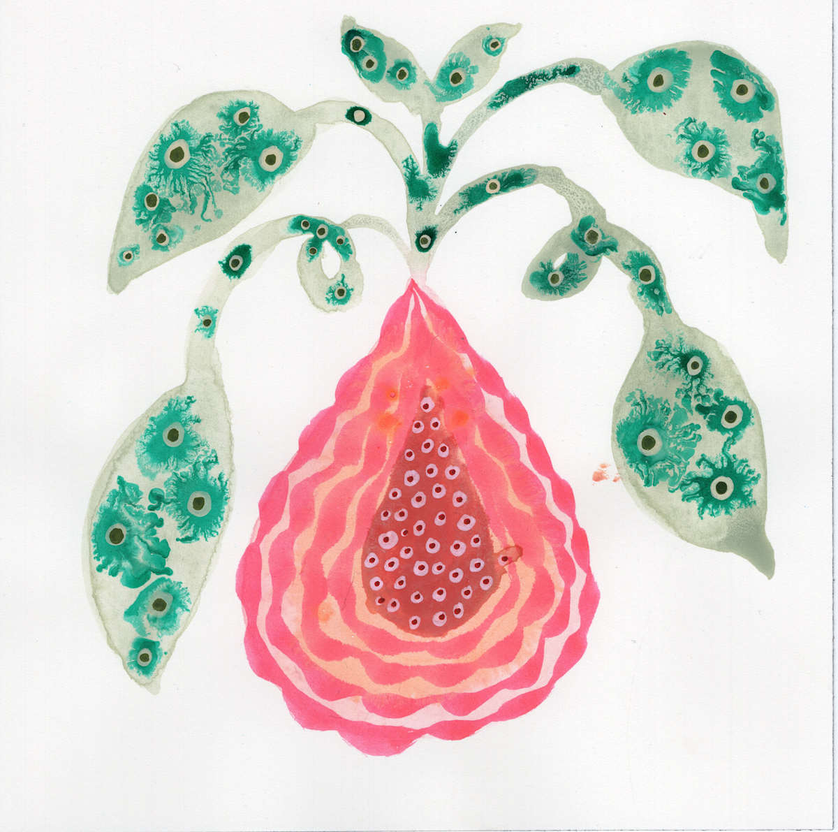 Low Hanging Fruit by kelly mccallum 