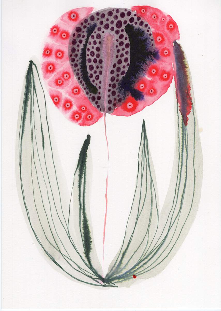 Single Flower Botanical by kelly mccallum 