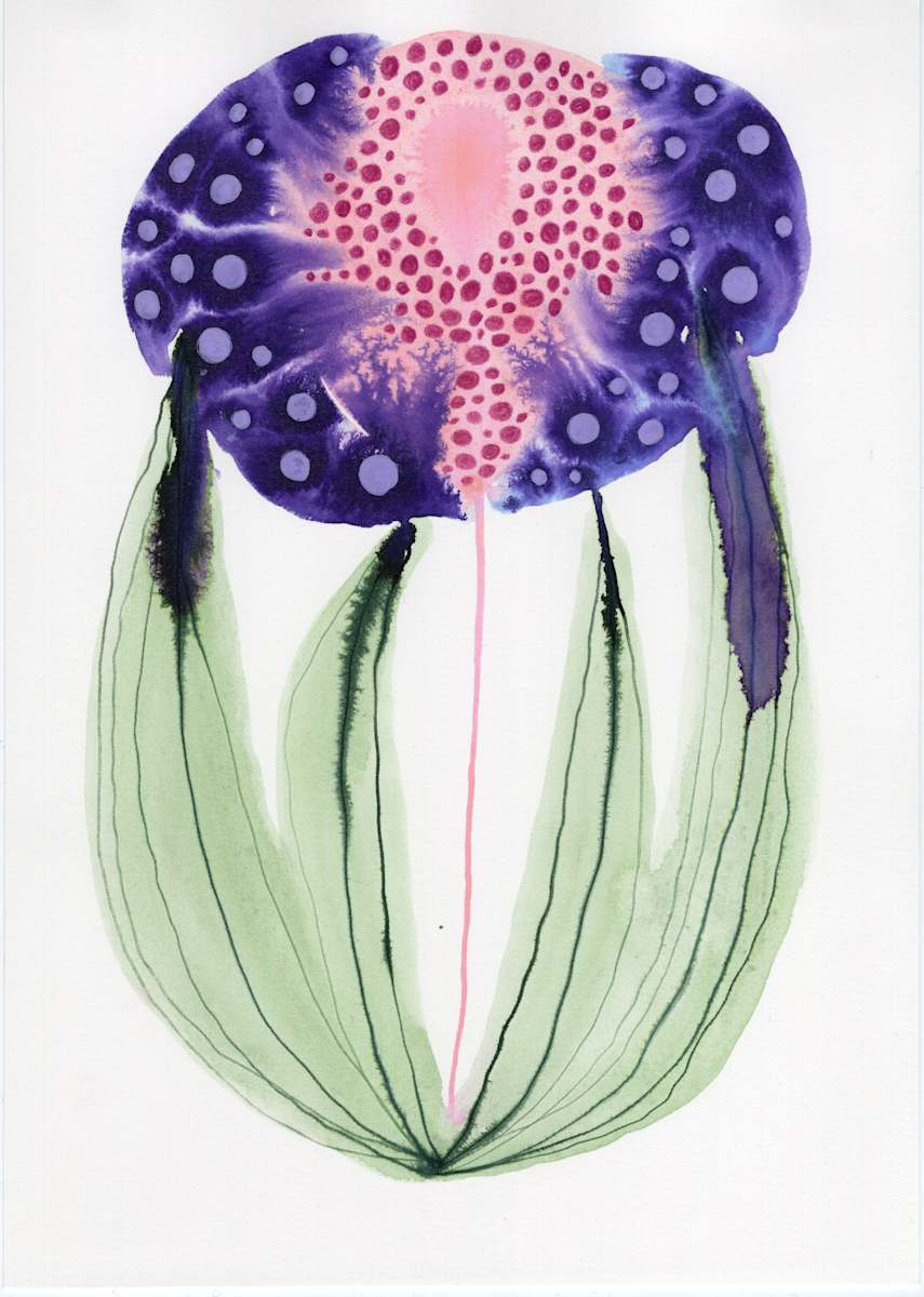 Single Flower Botanical by kelly mccallum 