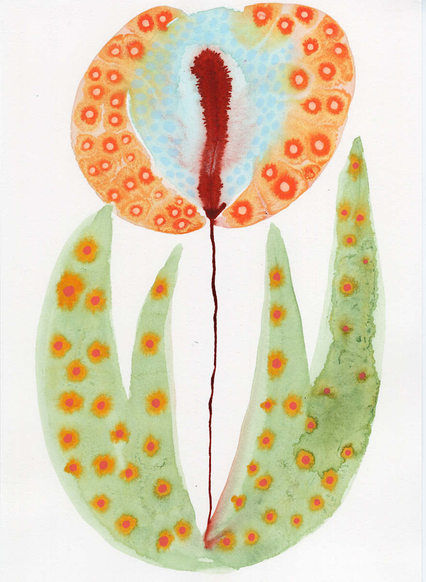 Single Flower Botanical by kelly mccallum 