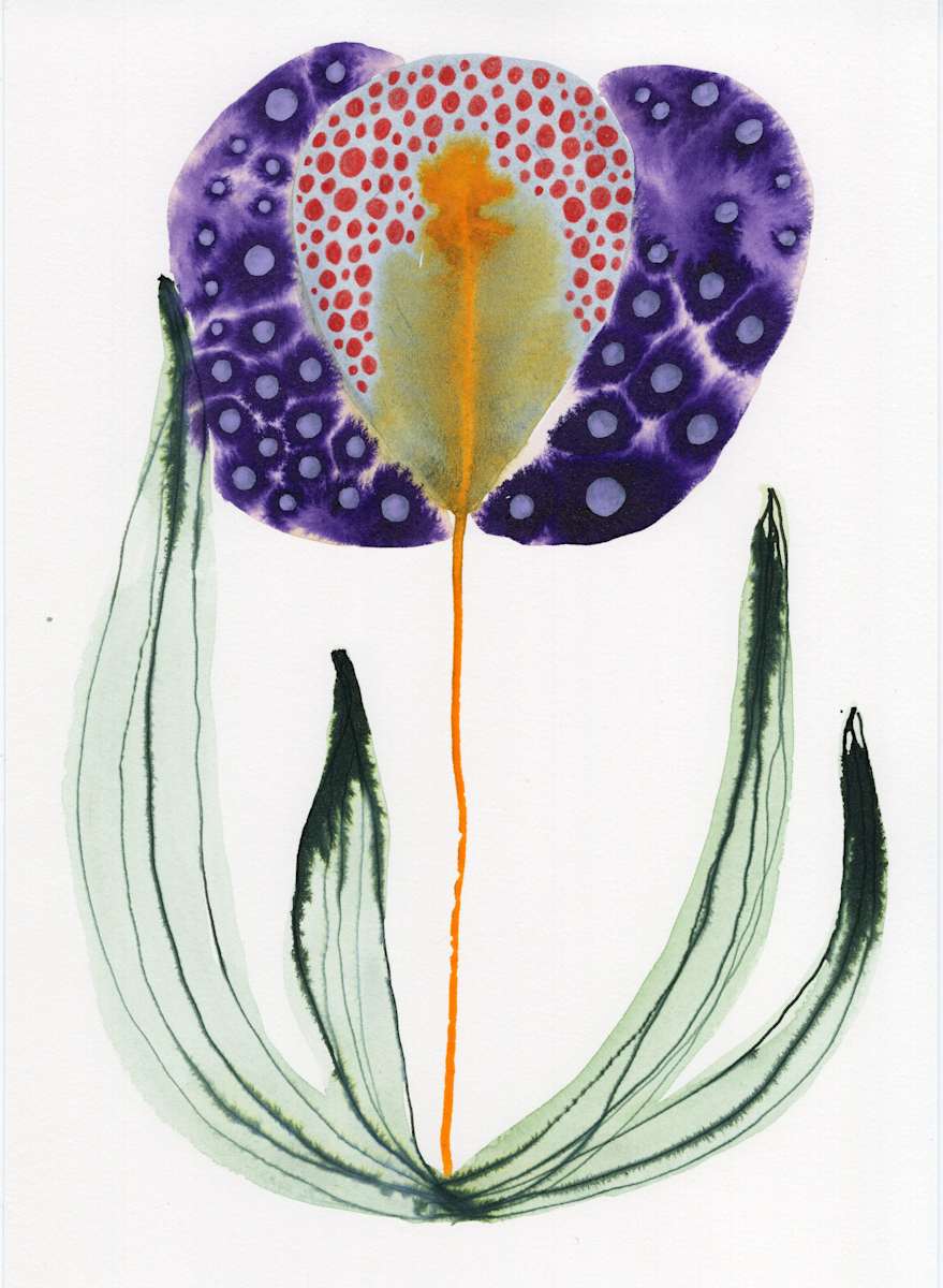 Single Flower Botanical by kelly mccallum 