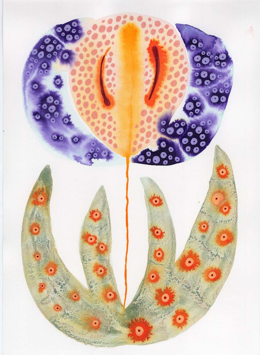 Single Flower Botanical by kelly mccallum 