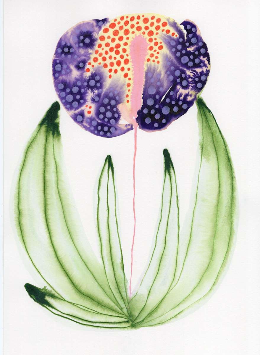 Single Flower Botanical by kelly mccallum 